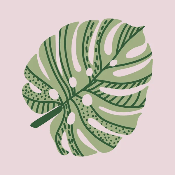 Tropikal bir bitkinin vektör çizimi. Canavar mı? Gree eğreltiotu pembe arka planda izole edilmiş. El çizimi dallar ve yapraklar