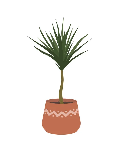 Saksıdaki saksı. Dracaena 'da. Dekoratif ev bitkisi, ev içi palmiye ağacı, saksı, botanik ve çiçek süslemesi. Vektör illüstrasyonu beyaz arkaplanda izole edildi.