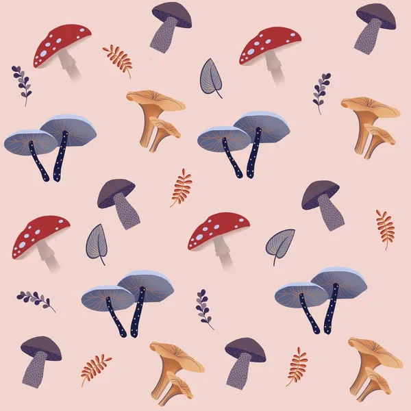 Diferentes Tipos Cogumelos Nossa Floresta Esta Ilustração Pode Ser Usada — Fotografia de Stock