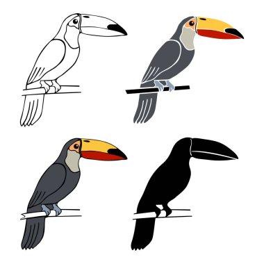Beyaz arkaplanda izole edilmiş Toucan siluetinin vektör karalama resim seti. Toucan kuş çizgi film karakteri. Tropikal iklimin sembolü. El çizimi çizimi. Tropik orman doğa tasarımı.