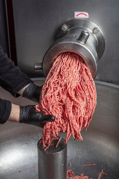 Meat grinder in action and ground beef meat. electric meat grinder. Unidentifiable butcher holding tray full of minced raw red meat leaving machine in food processing plant.