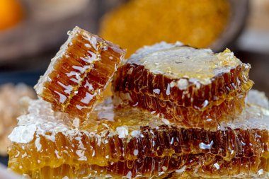 Sihirli bal peteği yakın çekim, bal toplama, bal toplama. Organik bal peteği (Türk Karakovan Balı) İstanbul, Türkiye.