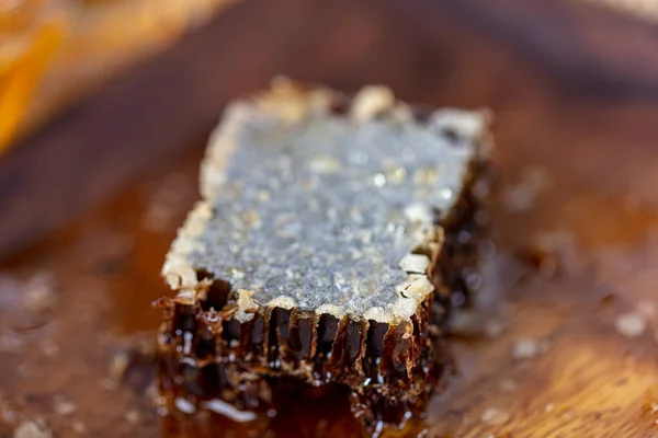 Magical Honeycomb Close Honey Harvesting Honey Picking Organic Honeycomb Turkish — Stock Photo, Image