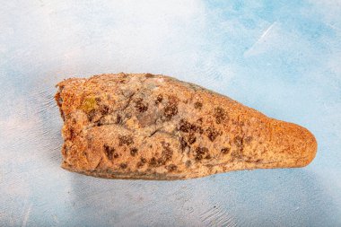 Küflü (küflü) ekmek. Küflü ekmek (mecburiyet, muhallebi, küf). Ekmek ve bayat ekmek israfı..