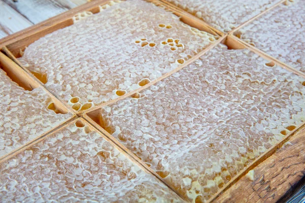 Organic Honeycomb Turkish Karakovan Honey 카라치 벌집은 자연에서 만들어 것이다 — 스톡 사진