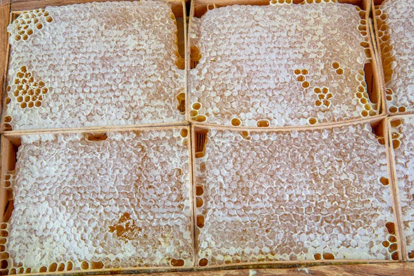 Organic Honeycomb Turkish Karakovan Honey Karakovan Natural Honeycomb Made Nature — Stock Photo, Image