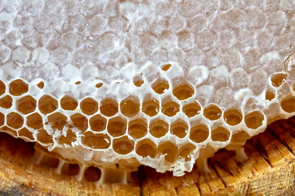 Organic Honeycomb Turkish Karakovan Honey Karakovan Natural Honeycomb Made Nature — Stock Photo, Image