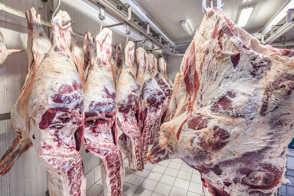 Industria Cárnica Carnes Colgando Almacén Frigorífico Cadenas Cordero Cascabeles Cortados — Foto de Stock