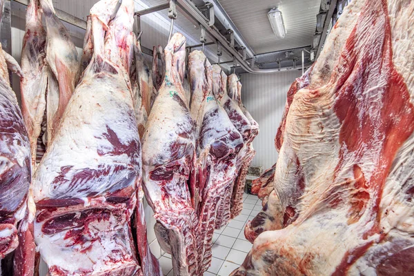 Industria Cárnica Carnes Colgando Almacén Frigorífico Cadenas Cordero Cascabeles Cortados — Foto de Stock