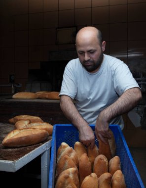 Fırında çalışan genç bir erkek işçi. O, ekmeği rafa koyar. Fırından taze somun ekmeği. Ekmek pişiriyorum. Fırın Taşımacılığı.
