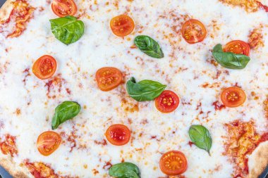 Margarita, mozzarella, peynir ve fesleğen yapraklı İtalyan pizzası..
