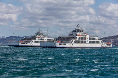 İstanbul, Türkiye - 29 Mart 2019; İstanbul Boğazı 'nda DO (İstanbul Deniz Otobüsleri) Feribotları. Eminonu, keşif gezisini Harem yapıyor. İstanbul Türkiye.