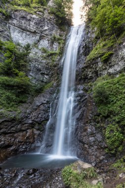 Yoğun ormanlar arasında yüksek şelale. Maral şelalesi. Maral Waterfall, Borcka Artvin Türkiye.