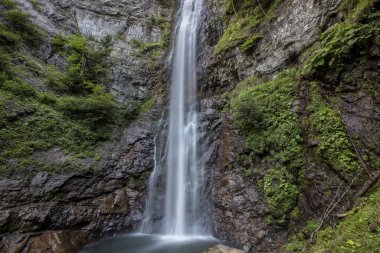 Yoğun ormanlar arasında yüksek şelale. Maral şelalesi. Maral Waterfall, Borcka Artvin Türkiye.
