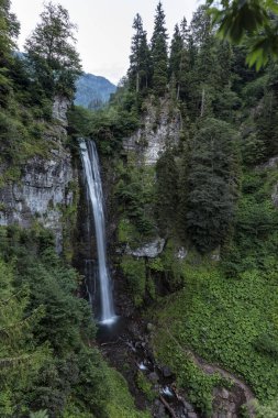 Yoğun ormanlar arasında yüksek şelale. Maral şelalesi. Maral Waterfall, Borcka Artvin Türkiye.