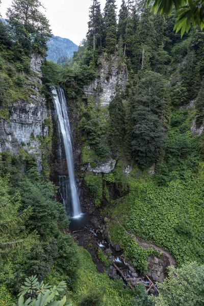 茂密森林中的高瀑布 Maral Waterfall Borcka Artvin土耳其 — 图库照片