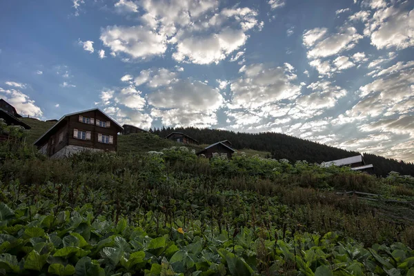 Beautiful Landscape Mountains Small Village — Stok fotoğraf