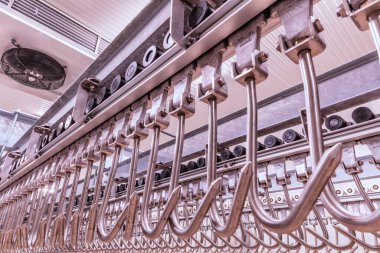 close up of iron hooks