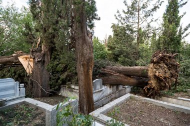 Uskudar, İstanbul, Türkiye, 2 Ağustos 2017, Karacaahmet mezarlığı fırtınada ağaçları ve mezarları yıktı. İstanbul, Türkiye.