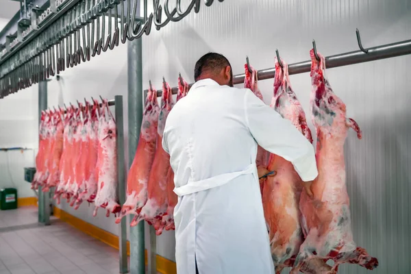 Indústria Carne Carnes Penduradas Frigorífico Cattles Cortado Enforcado Gancho Matadouro — Fotografia de Stock
