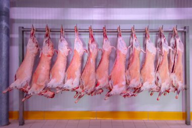 Refrigerated warehouse, hanging hooks of frozen lamb carcasses. Halal cut. clipart