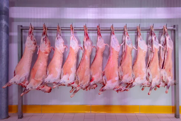 Refrigerated Warehouse Hanging Hooks Frozen Lamb Carcasses Halal Cut — Stock Photo, Image