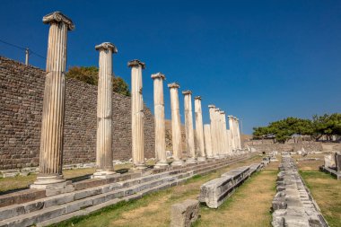Antik çağların en önemli sağlık merkezlerinden biri olan Bergama 'daki Asklepion, aynı zamanda dönemin ünlü doktorlarının büyüyüp dünyanın ilk psikiyatri hastanesi olduğu bir tıp okulu. 