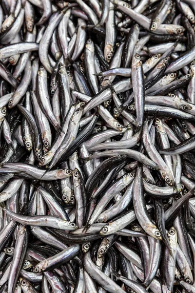 Φόντο Γαύρου Ψαριού Πάγο Κατάστημα Ψαράδων Θαλασσινά Ευρωπαϊκός Σωρός Από — Φωτογραφία Αρχείου