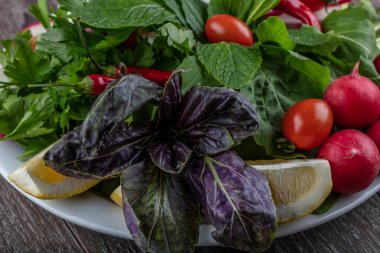 sebze salatası: çiğ domates ve sarımsaklı beyaz kase turp, limon, nane, domates.