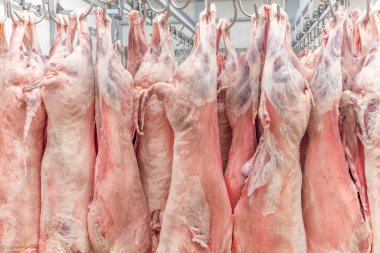 Soğuk hava deposu, dondurulmuş depo, donmuş kuzu leşlerinin kancaları. Helal kesiği.