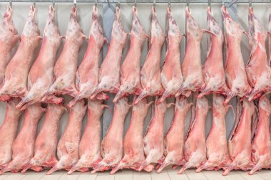 Soğuk hava deposu, dondurulmuş depo, donmuş kuzu leşlerinin kancaları. Helal kesiği.