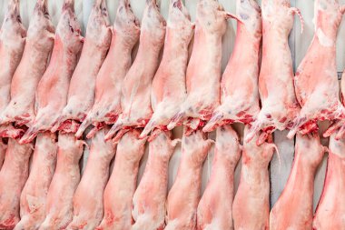 Soğuk hava deposu, dondurulmuş depo, donmuş kuzu leşlerinin kancaları. Helal kesiği.