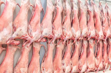 Soğuk hava deposu, dondurulmuş depo, donmuş kuzu leşlerinin kancaları. Helal kesiği.