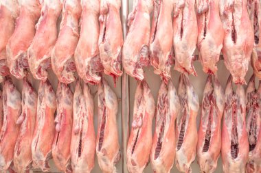 Soğuk hava deposu, dondurulmuş depo, donmuş kuzu leşlerinin kancaları. Helal kesiği.