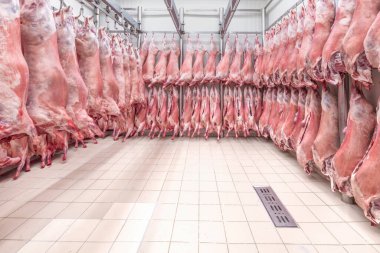 Soğuk hava deposu, dondurulmuş depo, donmuş kuzu leşlerinin kancaları. Helal kesiği.