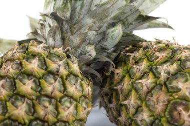 Beyaz arkaplanda taze ananas