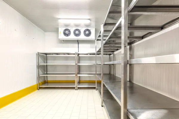 Congelador Almacén Cámara Refrigeración Para Almacenamiento Alimentos — Foto de Stock