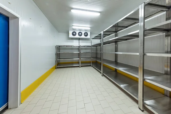 Congelatore Del Magazzino Camera Refrigerazione Conservazione Degli Alimenti — Foto Stock