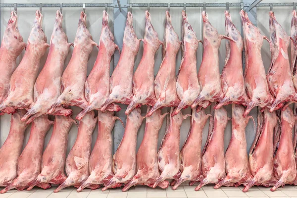 Soğuk hava deposu, dondurulmuş depo, donmuş kuzu leşlerinin kancaları. Helal kesiği.