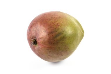 Mango beyaz arkaplanda izole edildi 