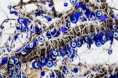 Nazar boncugu on tree branches, 