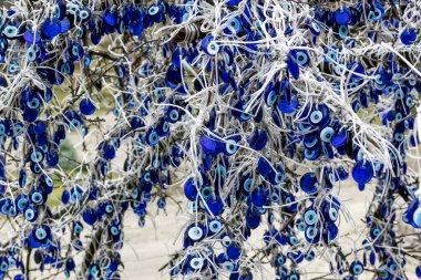 Nazar boncugu on tree branches, 