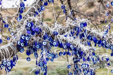 Nazar boncugu on tree branches, 