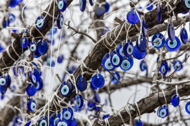 Nazar boncugu on tree branches, 