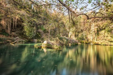 Nehir ve ormanlı güzel bir manzara.