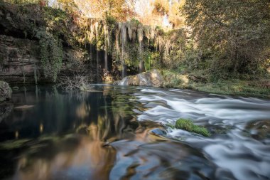 Ormandaki nehrin güzel manzarası