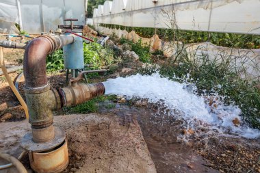 Bahçedeki su borusu, sulama serası. 