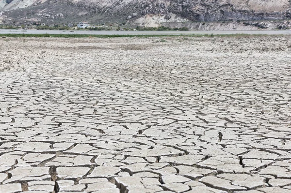 Terra Rachada Seca Deserto — Fotografia de Stock
