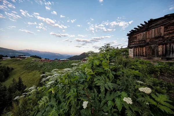 Güzel Dağların Manzarası — Stok fotoğraf