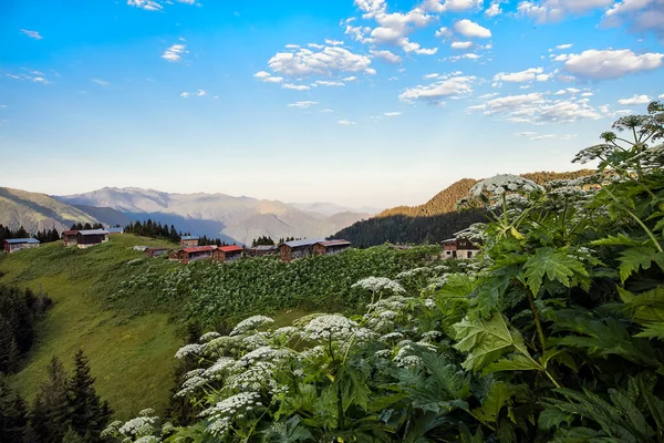 Dağlardaki Vadinin Güzel Manzarası — Stok fotoğraf